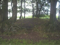 Huish Champflower Barrow