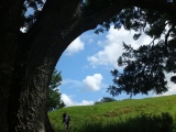 South Cadbury Castle