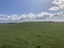 Click for full size image of Whites Town Farm Tumulus (PID:303334) Whites Town Farm Tumulus