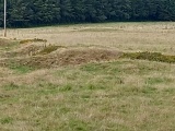 Click for full size image of Ashen Hill Barrows (PID:247799) Ashen Hill Barrows
