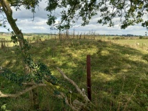 Bristol Plain Farm Barrow Cemetery