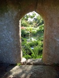 St Andrew's Well (Wells)