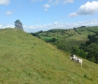 South Cadbury Castle