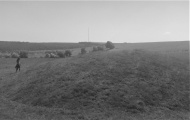 Click for full size image of Ashen Hill Barrows (PID:243916) Ashen Hill Barrows