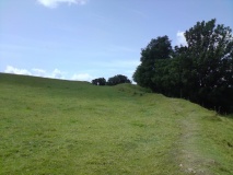 South Cadbury Castle