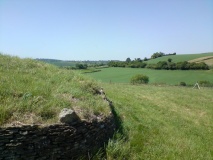 Stoney Littleton