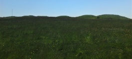Click for full size image of Ashen Hill Barrows (PID:243909) Ashen Hill Barrows