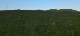 Ashen Hill Barrows