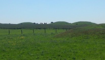 Click for full size image of Ashen Hill Barrows (PID:243911) Ashen Hill Barrows