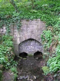 St Aldhelm's Well