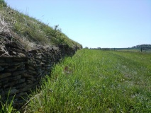 Stoney Littleton