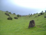 Batcombe Hollow south standing stone - PID:95465