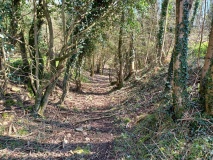 Bathampton Camp