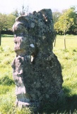 Bathampton - PID:905