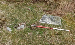 Hoscombe SE