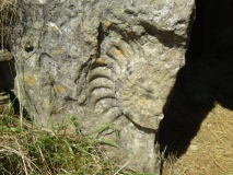 Stoney Littleton