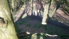 Castle Neroche