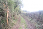 Dundon Hill