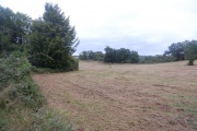 Dundon Hill