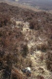 Porlock Common SW - PID:2632
