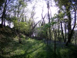 Castles Camp - PID:144627