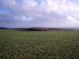 Lype Hill Barrows - PID:144622