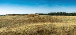 Click for full size image of Ashen Hill Barrows (PID:247618) Ashen Hill Barrows