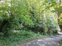 West Hill Fort, Portishead