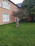 Wells and Mendip Museum 