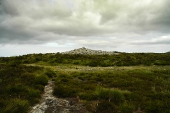 Rowbarrow Group