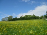 Glastonbury Tor