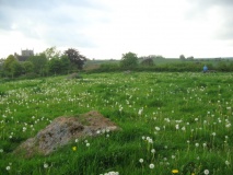 Stanton Drew SSW