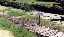 Peat Moors Centre - The Abbot's Way