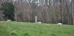 West Park Wood Standing Stone - PID:271677