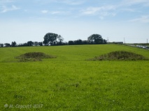 Tynings Farm Barrow Group