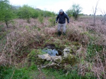Felton Common Suck Stone