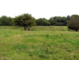 Gorsey Bigbury Henge - PID:61902