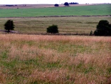 Charterhouse settlement - PID:61875