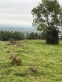 Flagstaff Hill - PID:279609