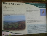 Triscombe Stone