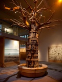 Museum of Somerset