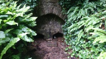 St Aldhelm's Well - PID:206427