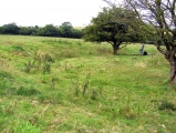 Gorsey Bigbury Henge - PID:61901