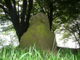 Triscombe Stone