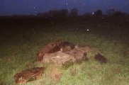 Click for full size image of Pool Farm Cist (PID:145696) Pool Farm Cist