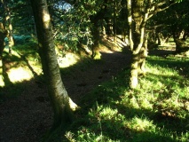 Dead Woman's Ditch