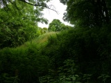 Dundon Hill