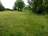 Dundon Hill