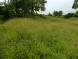 Dundon Hill