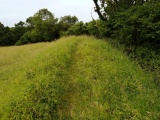 Dundon Hill